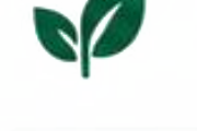 UMKM dan IKM Hijau