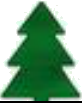 Pohon